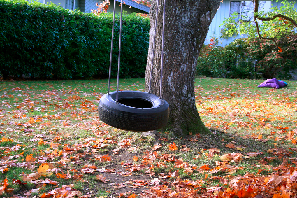 Tire swing